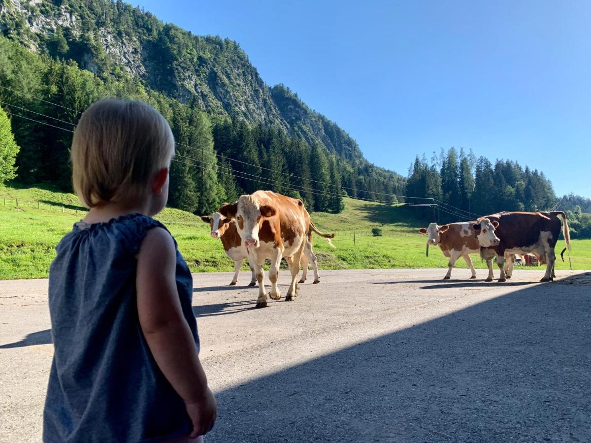Hinterankerwald Leilighet Walchsee Eksteriør bilde