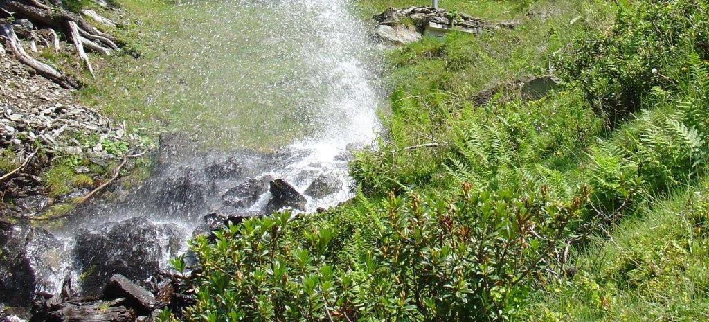 Hinterankerwald Leilighet Walchsee Rom bilde