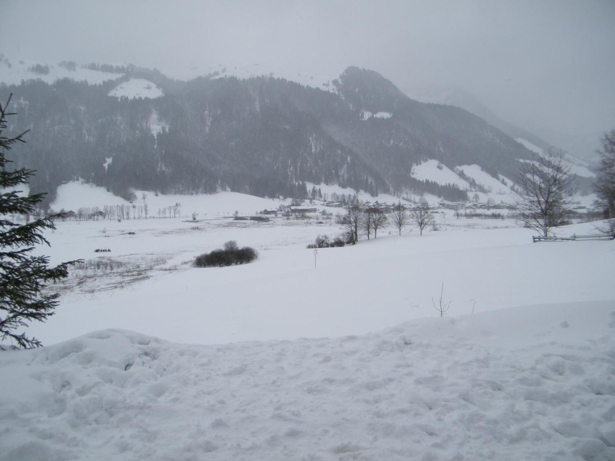 Hinterankerwald Leilighet Walchsee Eksteriør bilde