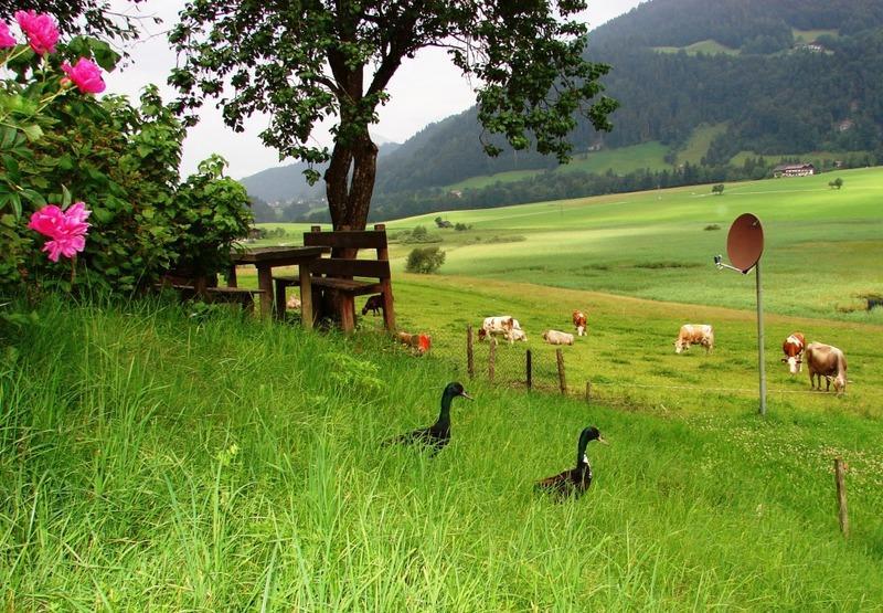Hinterankerwald Leilighet Walchsee Eksteriør bilde