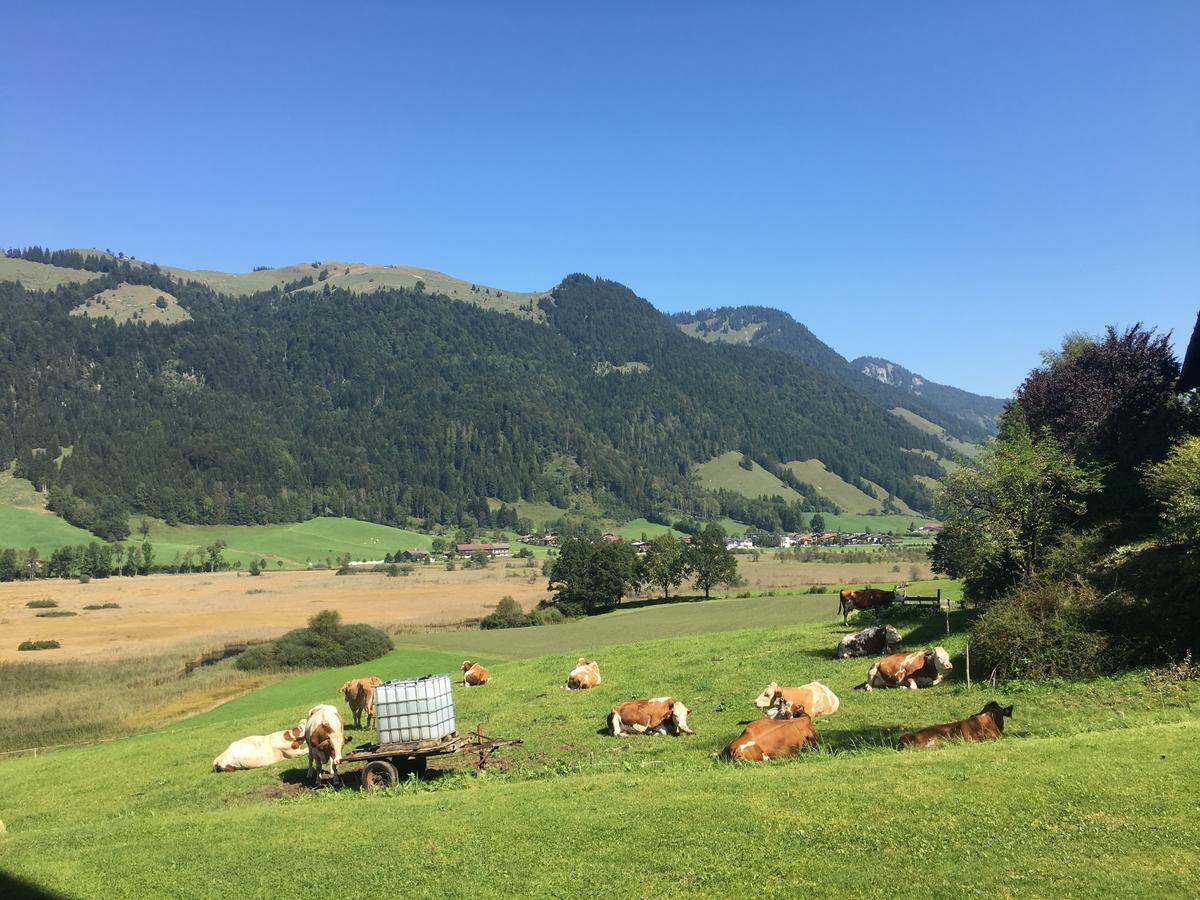 Hinterankerwald Leilighet Walchsee Eksteriør bilde
